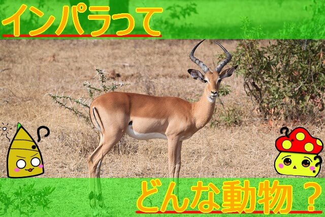 Thumbnail of post image 096